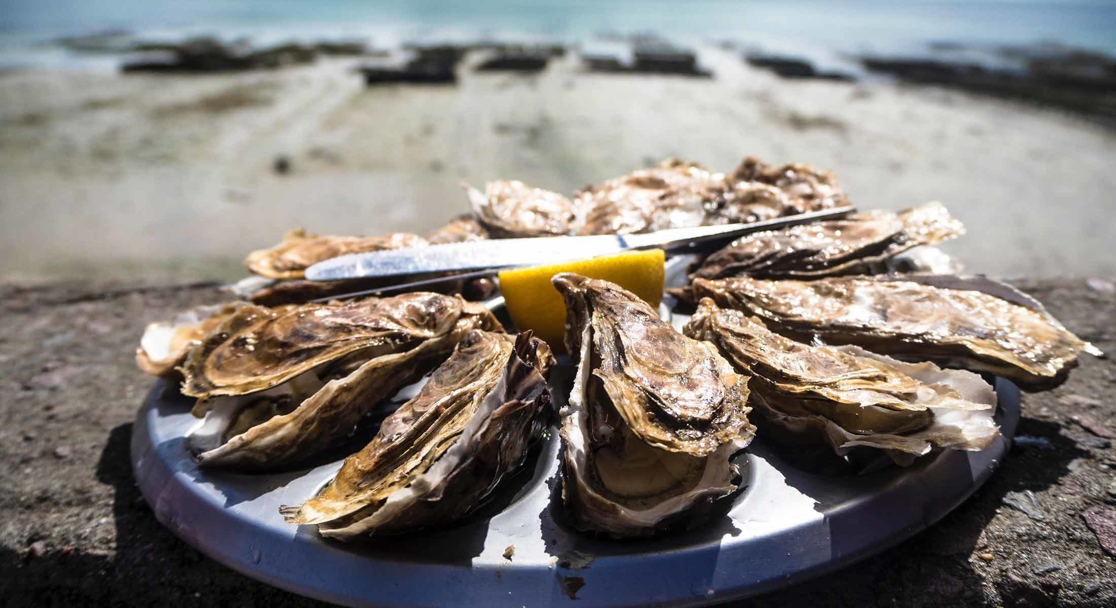 Real Marina Hotel & Spa